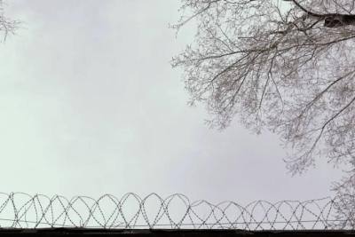 В Тольятти участнику банды дали срок за попытку продать наркотики