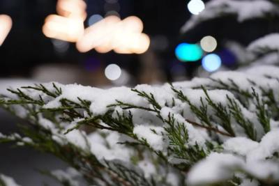 В Самарской области 14 февраля потеплеет и выпадет снег