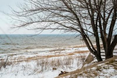 Пасмурно и ветрено: погода в Самарской области 17 февраля