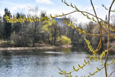 Ждем весну: когда в Самарской области прекратится снег и потеплеет