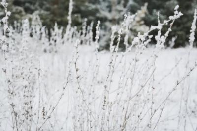 Сухо и безветренно: погода в Самарской области 26 февраля