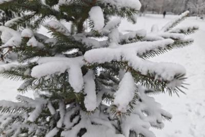 В Самарской области 3 марта будет +2 градуса и снежно