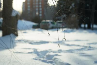 Зима не отступает: в Самарской области 7 марта будет морозно и скользко
