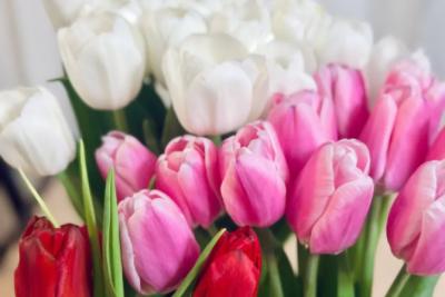 В ДНР военнослужащие поздравили женщин в автомобилях с 8 Марта