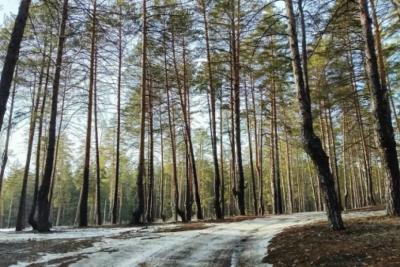 Самарскую область на этой неделе ждут температурные качели