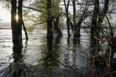 Народные приметы на 23 марта 2026 года: что нельзя делать в этот день
