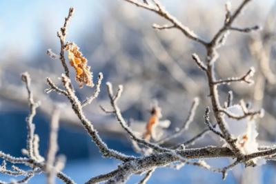 Дождь, мокрый снег и +10: погода в Самарской области 25 марта