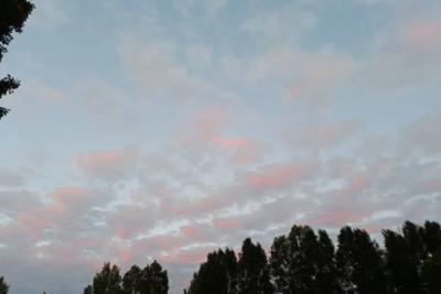 Почти лето: конец марта будет жарким в Самарской области