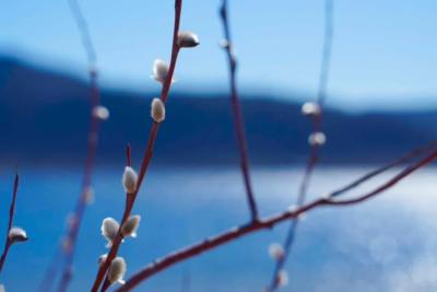 Народные приметы на 31 марта 2025 года: что нельзя делать в этот день