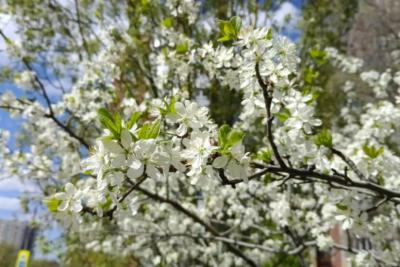 Народные приметы на 4 апреля 2026 года: что нельзя делать в этот день