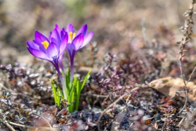 В Самарской области 16 апреля будет солнечно и тепло