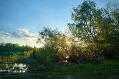 В Самарской области до 21 апреля сохранится угроза лесных пожаров