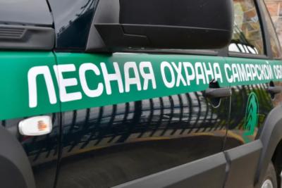 Пожар у Грушинской поляны тушили всю ночь