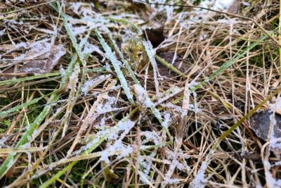 На Самарскую область 21 апреля надвигаются снег и заморозки