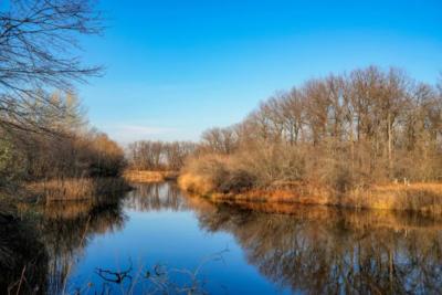 Международный день танца: какие праздники отмечают 29 апреля