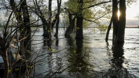 Паводковая обстановка: в Самарской области подтоплено 37 приусадебных участков