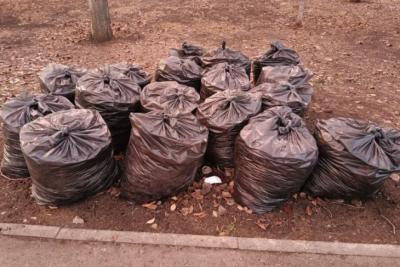 В Самаре 16 мая пройдет большой общегородской субботник