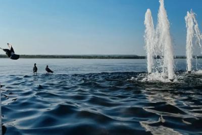День Волги: какие праздники отмечают 20 мая