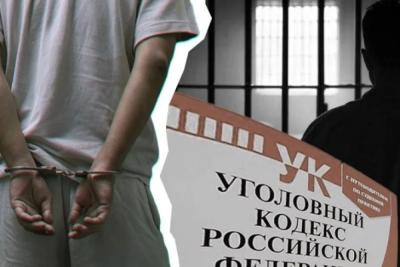 Деньги, смартфон и 129 шоколадок: тольяттинцу дали срок за серию краж