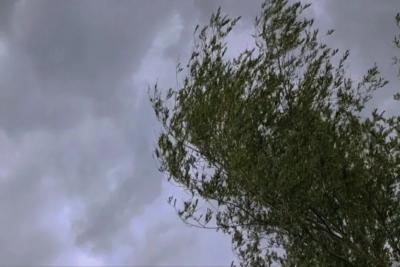 Самарскую область накроет шквалистый северо-западный ветер 2 августа