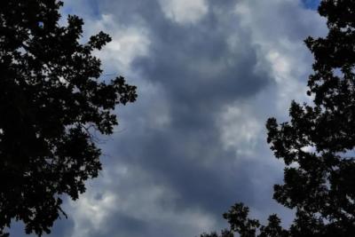 Дожди, грозы и +24 &deg;C: погода в Самарской области 13 августа