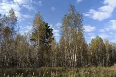 Солнечно и тепло: какая погода ожидается в Самарской области 9 октября