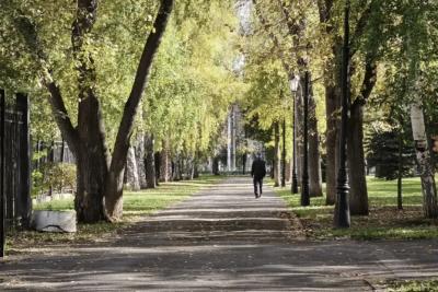 Побит 52-летний рекорд: в Самарской области в октябре воздух прогрелся до 21,6 &deg;C