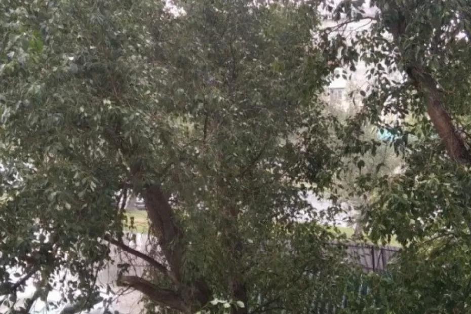 Ночью и днем 6 сентября местами в Самарской области ожидается сильный ветер