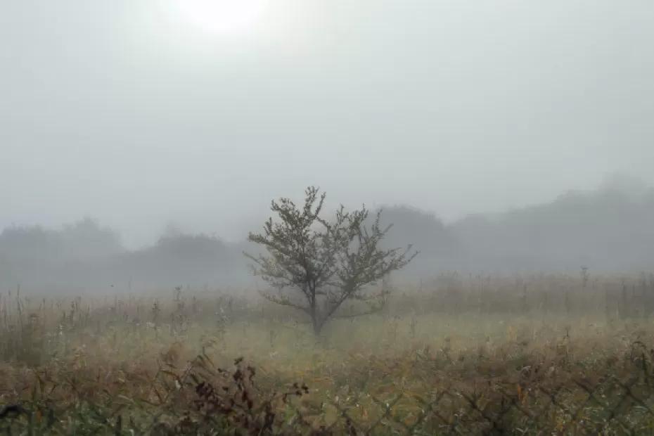 В Самарской области утром  местами сохранится туман