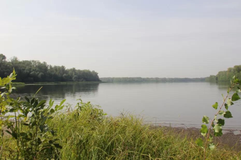 13 сентября в регионе без осадков, до +20°С