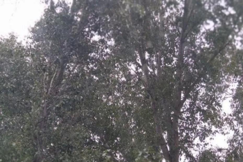 С 21 по 25 сентября в регионе сохранится чрезвычайная пожарная опасность лесов 5 класс