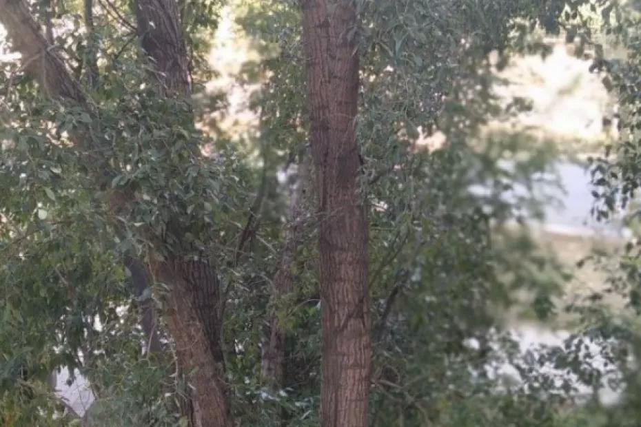 22 сентября в регионе без осадков, до +26°С