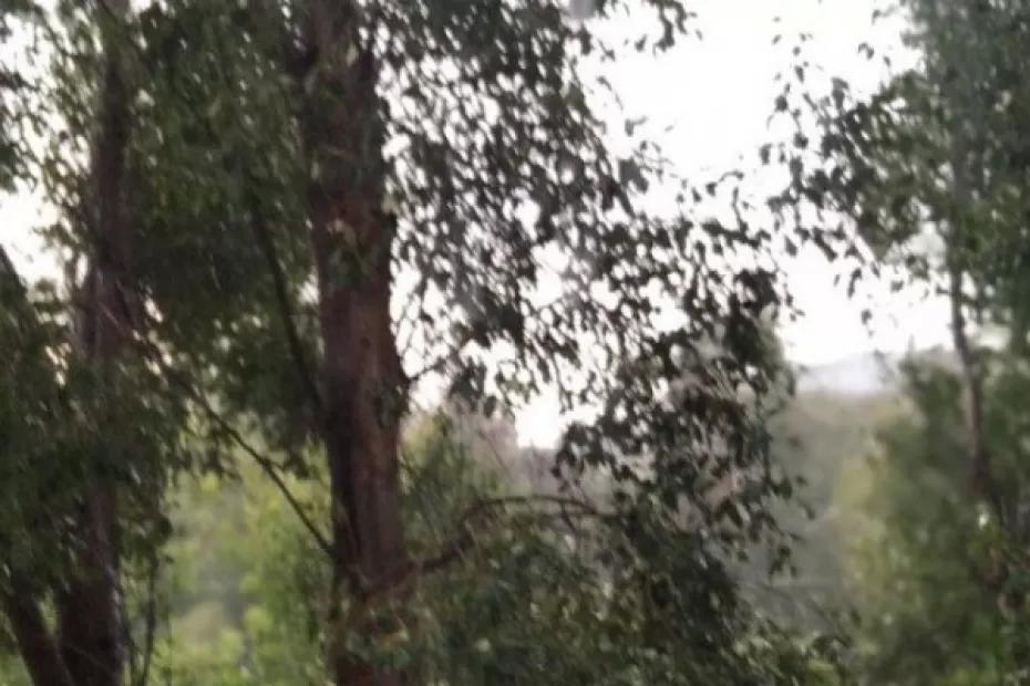 28 сентября в регионе местами небольшой дождь, до +13°С