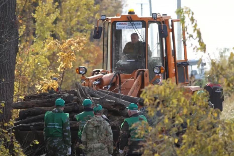 «Сохраним лес»: в губернии завершилась уборка 244 гектаров Волжского лесничества 