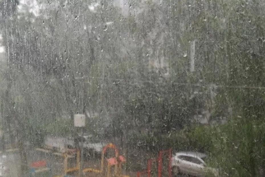 1 ноября в регионе дождь, до +8°С