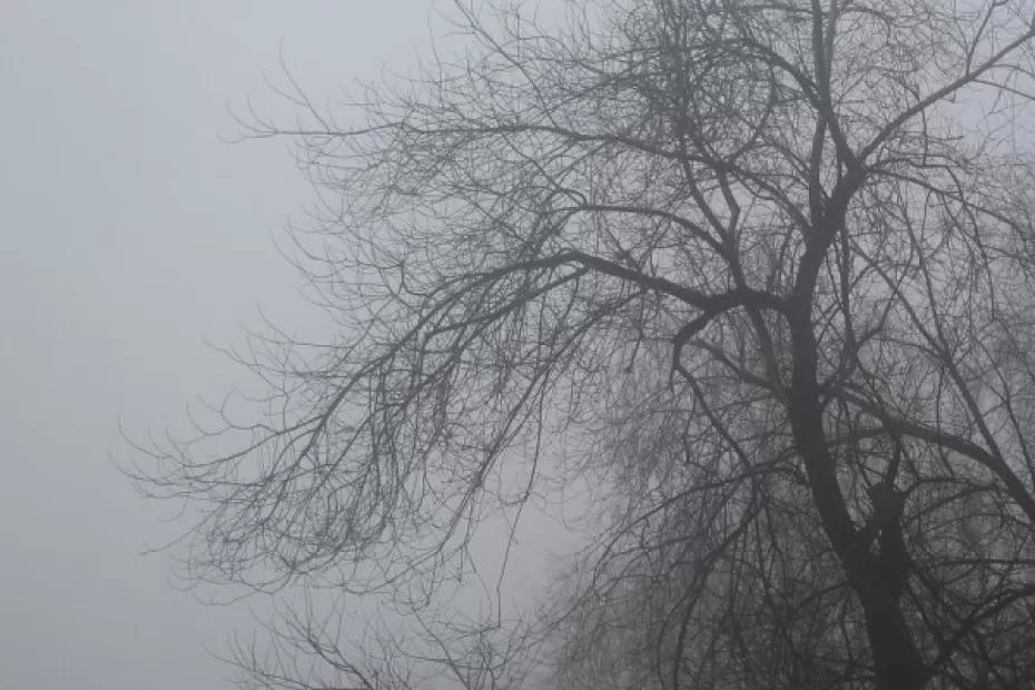 В Гидрометцентре сообщили о теплой погоде в России на конец недели