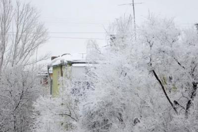 17 декабря в регионе местами сильный снег, метель, до -5°С