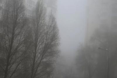 12 февраля в регионе без осадков, местами туман, изморозь, до -8°С
