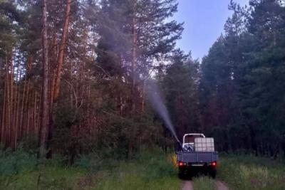 В двух лесничествах Самарской области успешно завершена обработка лесов от опасного вредителя