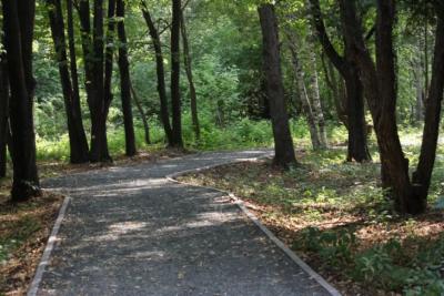 18 августа в регионе местами кратковременный дождь, гроза, до +30°С