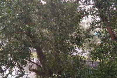 Ночью и днем 6 сентября местами в Самарской области ожидается сильный ветер