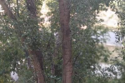 22 сентября в регионе без осадков, до +26°С