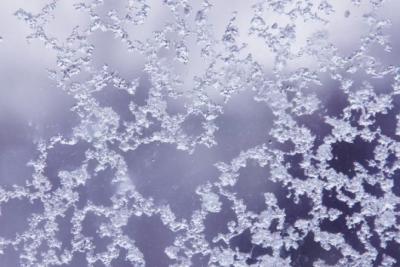 С 26 по 28 сентября местами в губернии ожидаются заморозки -0, -2 С