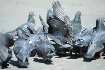 11 октября в регионе без осадков, до +18°С