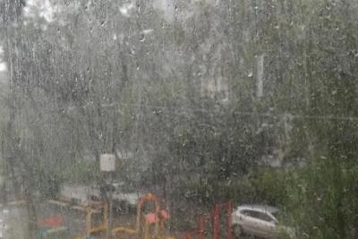 1 ноября в регионе дождь, до +8°С