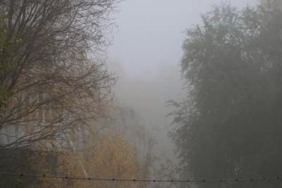 12 ноября в Самарской области ожидается туман при видимости 500 метров