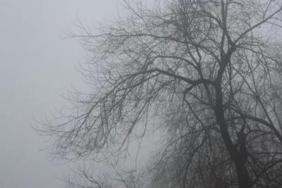 В Гидрометцентре сообщили о теплой погоде в России на конец недели