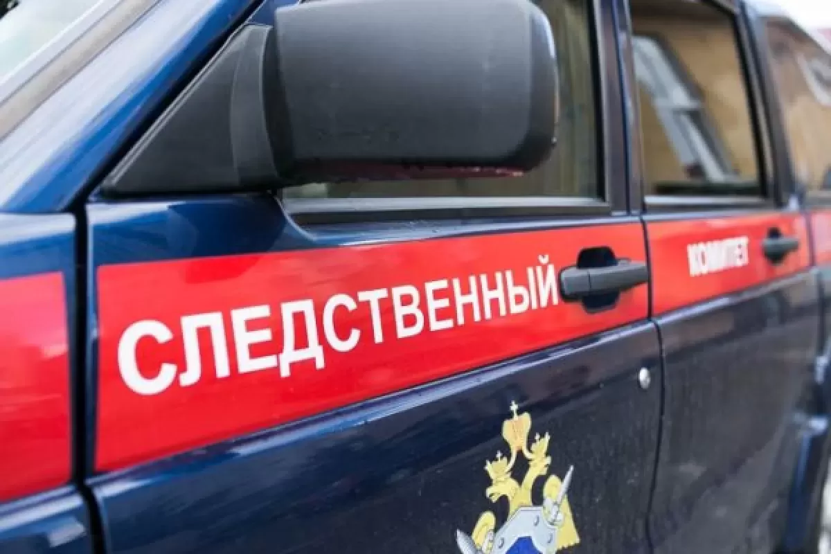 СК возбудил уголовное дело из-за нападения собак на ребенка в Самарской области
