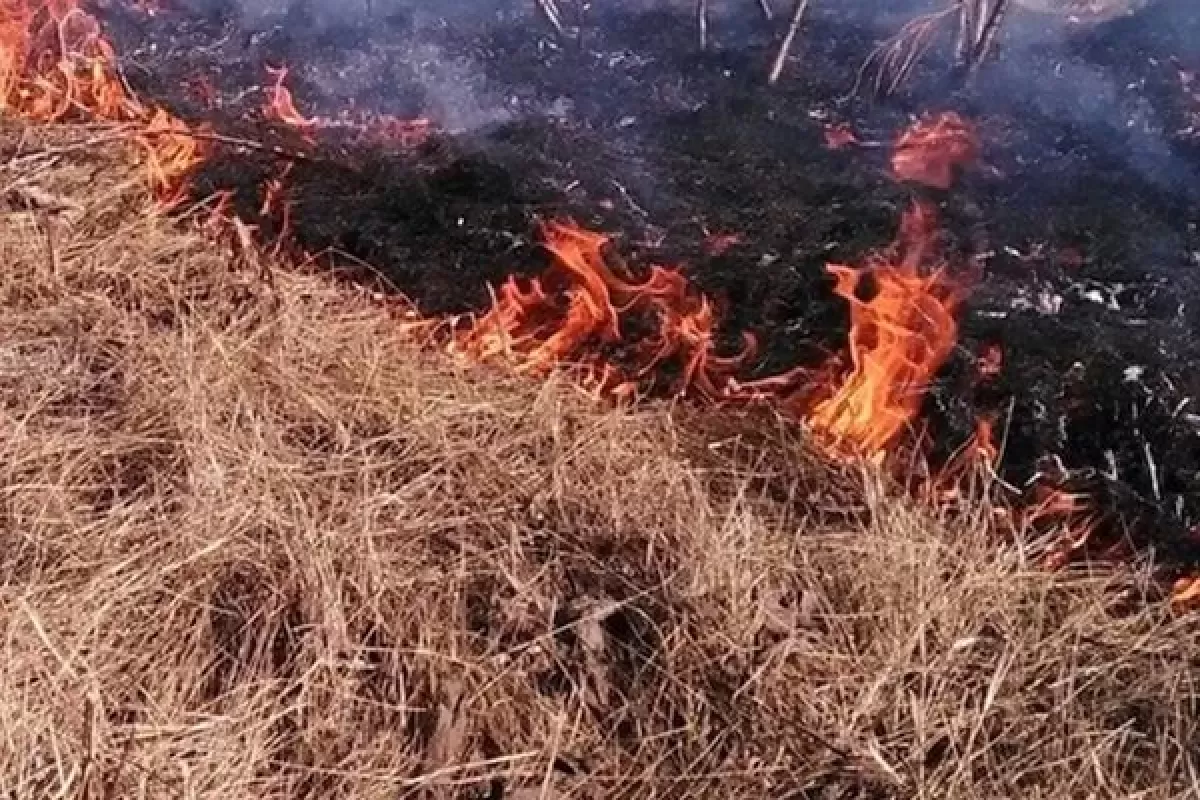 В Самарской области за сутки из-за пала травы произошло 3 пожара