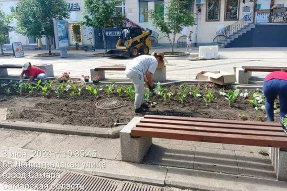 В Самаре на улице Ленинградской начали высаживать цветы вместо погибших во время заморозков